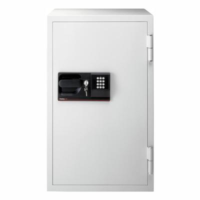 SentrySafe 4.6 cu. ft. Steel Commercial Fire-Safe with Electronic Lock and Key in Gray
