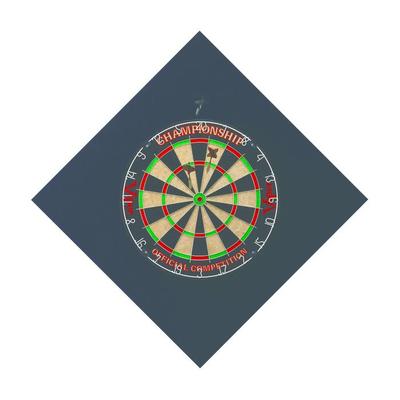 Viper EVA Steel Tip Dart Backboard